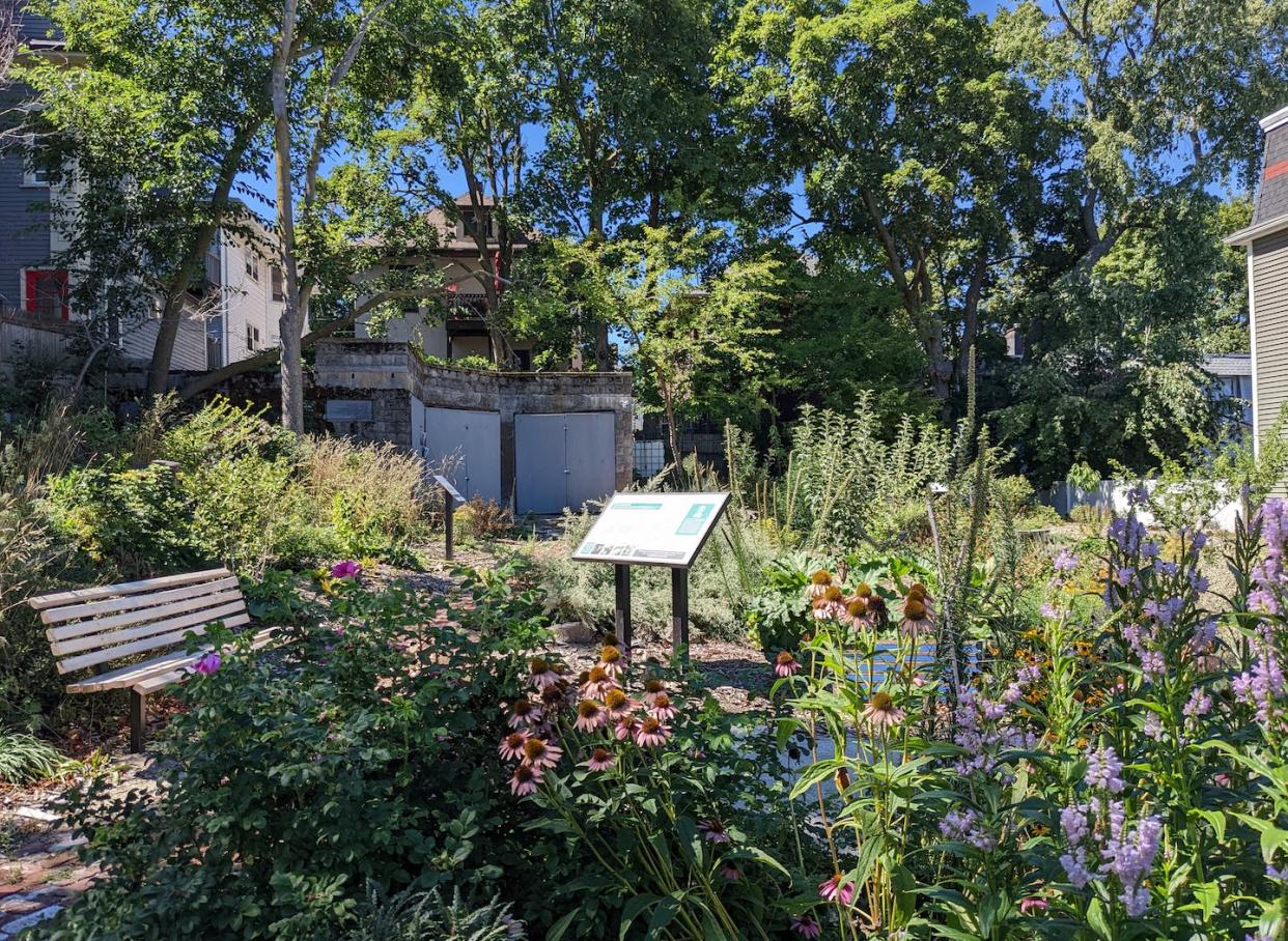 The Uphams Corner Food Forest in Boston's Dorchester neighborhood was built on a vacant lot. Boston Food Forest Coalition, <a href="http://creativecommons.org/licenses/by-nd/4.0/" rel="nofollow noopener" target="_blank" data-ylk="slk:CC BY-ND;elm:context_link;itc:0;sec:content-canvas" class="link ">CC BY-ND</a>