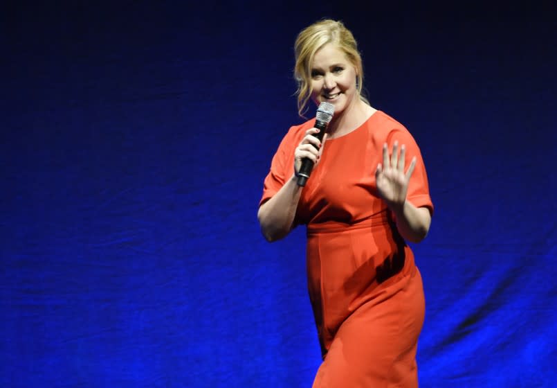 Amy Schumer