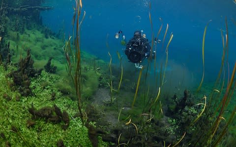 Ewens Ponds - Credit: istock