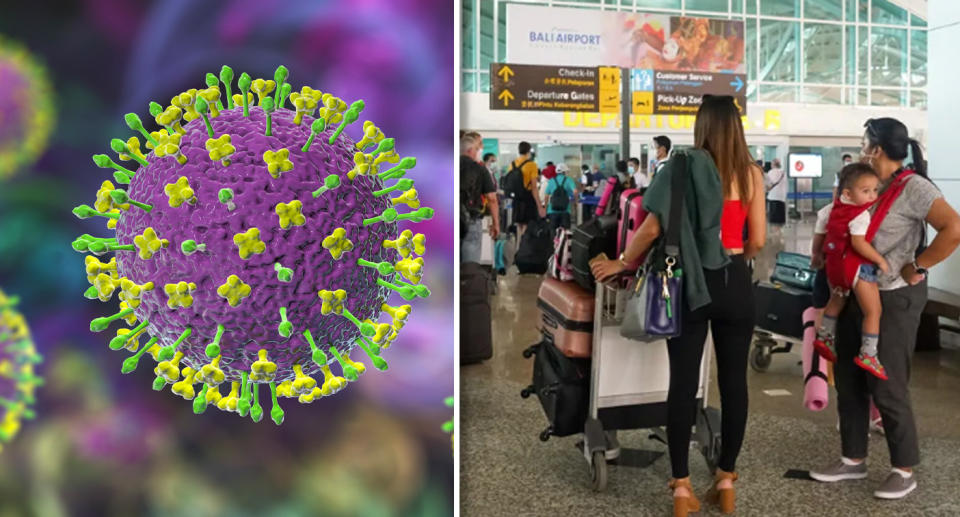 Left, the Nipah virus molecule. Right, two travellers stand in a queue at Bali airport. 