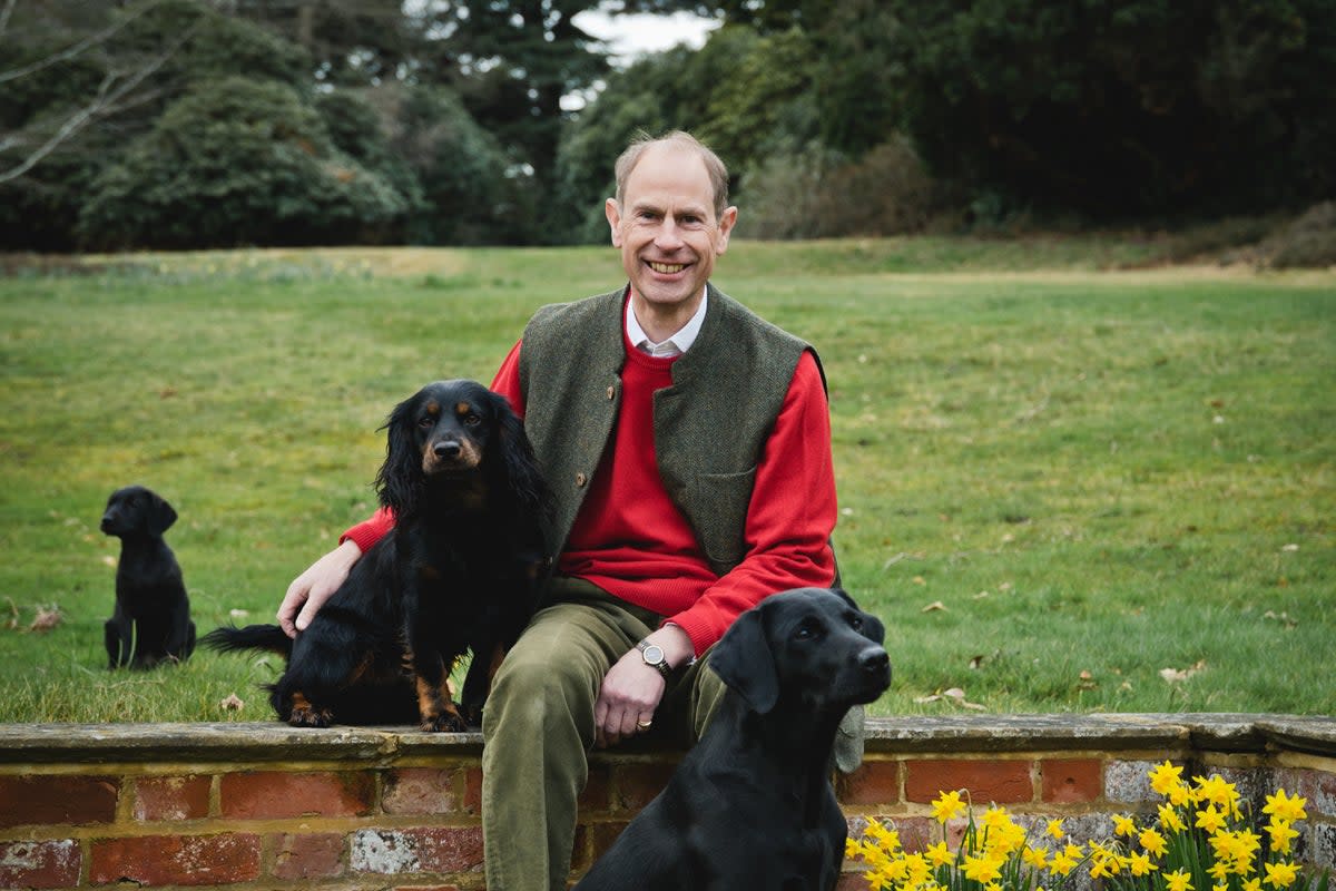 Duke of Edinburgh with his dogs Teal (labrador), Mole (cocker spaniel), and Teasel (labrador puppy) (Chris Jelf/PA Wire)