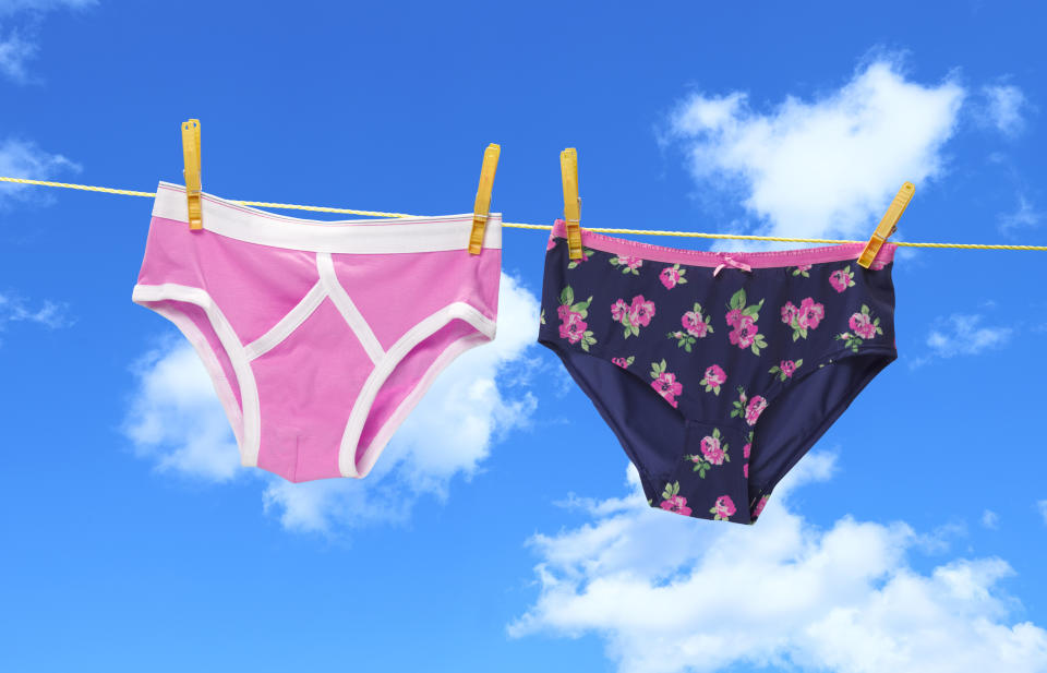 Two pairs of women's underwear hanging from a clothesline against a blue sky