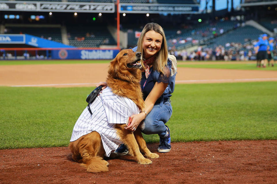 Bark in the Park