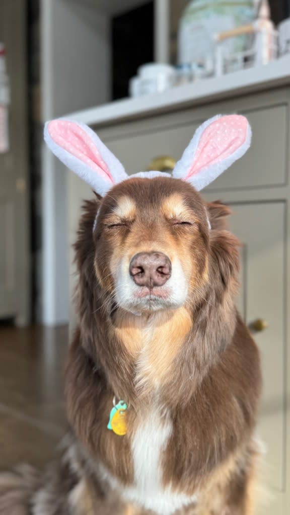 Amanda Seyfried and Husband Thomas Sadoski Celebrate Easter With Their Farm Animals