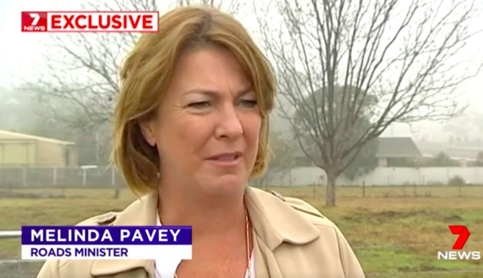 NSW Roads Minister Melinda Pavey said the footage was “horrifying.” Source: 7 News