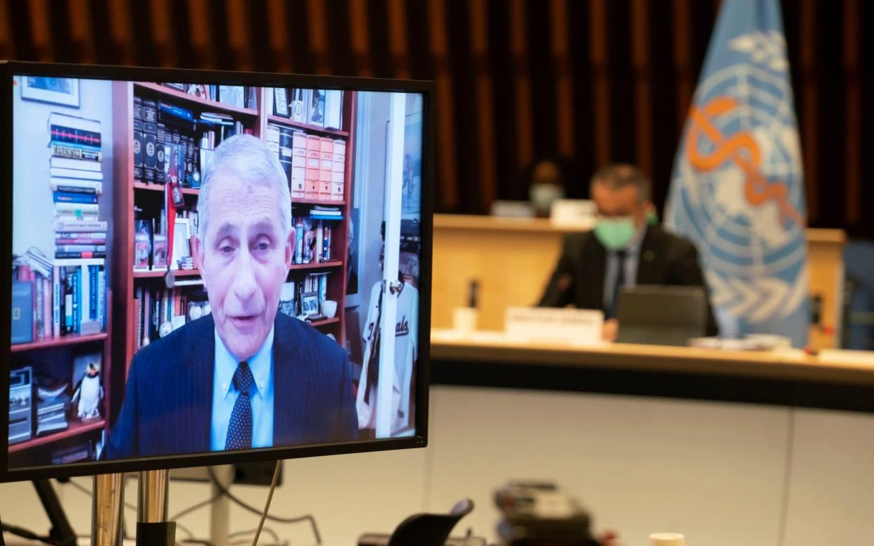 Dr Anthony Fauci, director of the National Institute of Allergy and Infectious Diseases and Joe Biden’s Chief Medical Advisor, delivers a speech at the WHO - Christopher Black/WHO