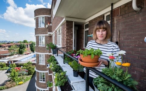 Proud rookie: Alice Vincent in her balcony garden, south London - Credit:  Andrew Crowley