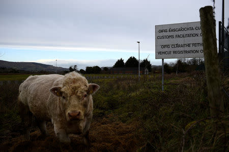 A bull stands in a field with a disused Customs Facilitation Office in the background on the border in Carrickcarnon, Ireland, December 7, 2017. REUTERS/Clodagh Kilcoyne