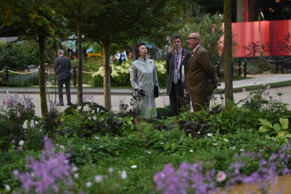 The Princess Royal during the visit to the RHS Chelsea Flower Show (Eddie Mulholland/Daily Telegraph) (PA Wire)