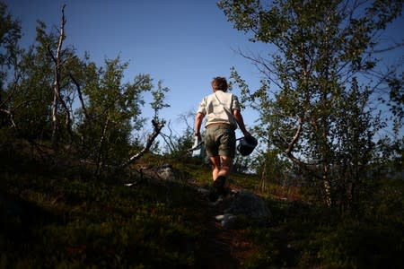 Nina Lindstrom Friggens, a researcher at the University of Stirling, walks through woodland near the village of Abisko