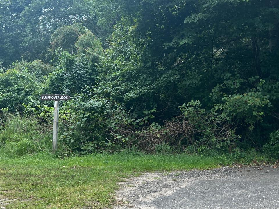 bluff overlook sign