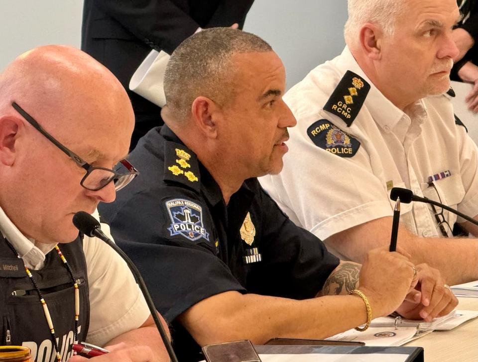 Halifax Regional Police acting chief Don MacLean would like to see his officers wearing body cameras in the near future.