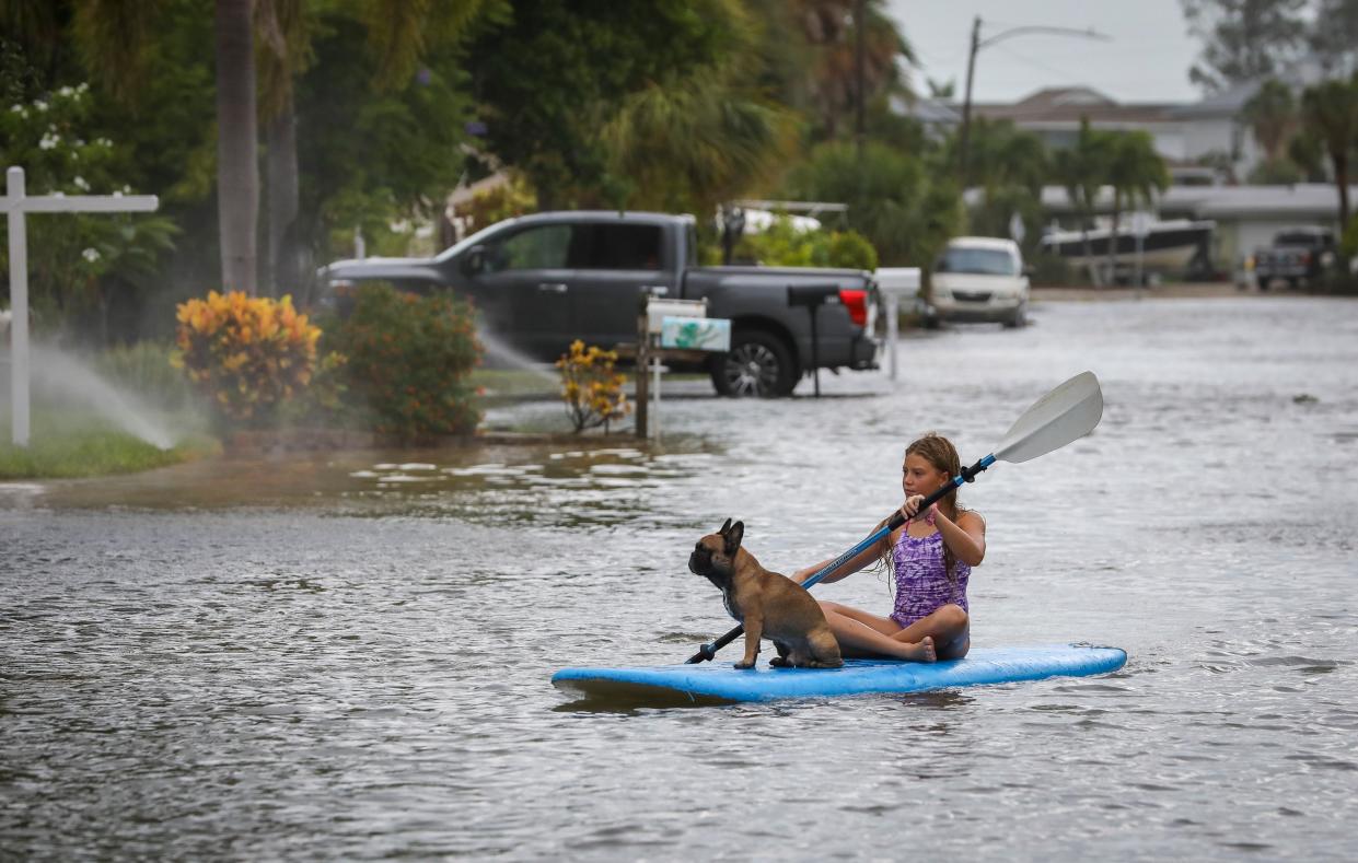 Lily Gumos, 11, of St. Pete Beach, Florida kayaks with her French bulldog along Blind Pass Road and 86th Avenue (AP)