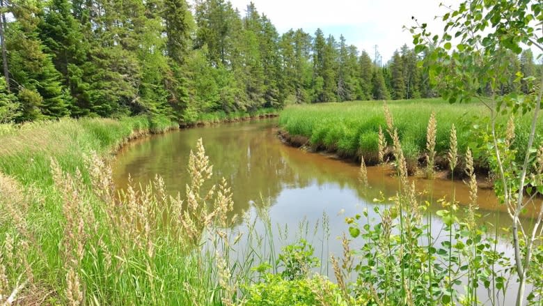 'This is the major portion': Cornwall bypass includes bridge over the Clyde River