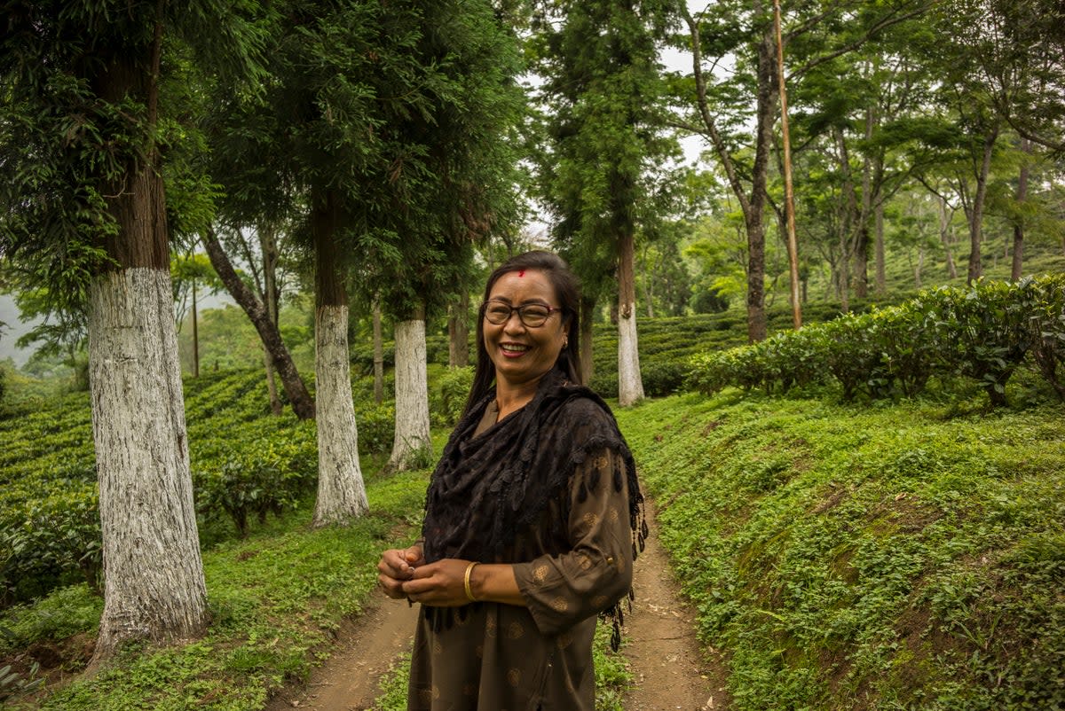 Jalu, a supervisor at the Nagrifarm tea garden of West Bengal’s Darjeeling district, explained that women often suffer from terrible rashes because of wearing the same sanitary pad for long hours (WaterAid / Anindito Mukherjee)