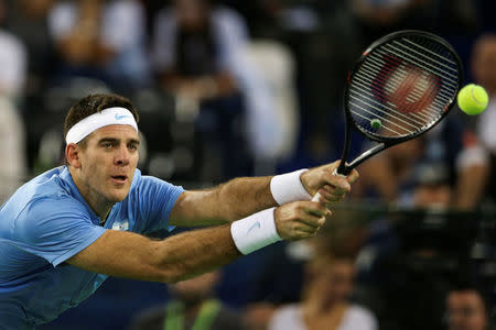 Tennis - Croatia v Argentina - Davis Cup Final - Arena Zagreb, Croatia - 25/11/16 Argentina's Juan Martin del Potro in action during his match against Croatia's Ivo Karlovic. REUTERS/Marko Djurica