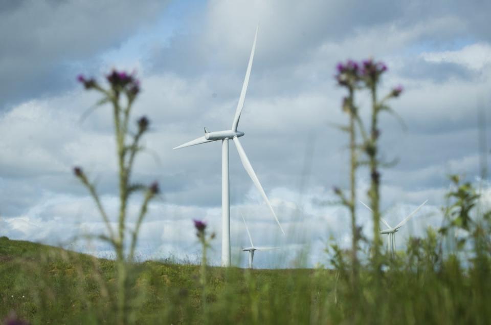 On and offshore wind turbines can help solve the crisis, energy boss Keith Anderson said (Danny Lawson/PA) (PA Wire)