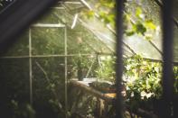 <p>Las plantas necesitan dióxido de carbono para, junto con el agua absorbida por las raíces y la energía de la luz, realizar la fotosíntesis y producir oxígeno. En los invernaderos además, los jardineros utilizan CO2 para acelerar el crecimiento de las plantas. (Foto: Pixabay). </p>