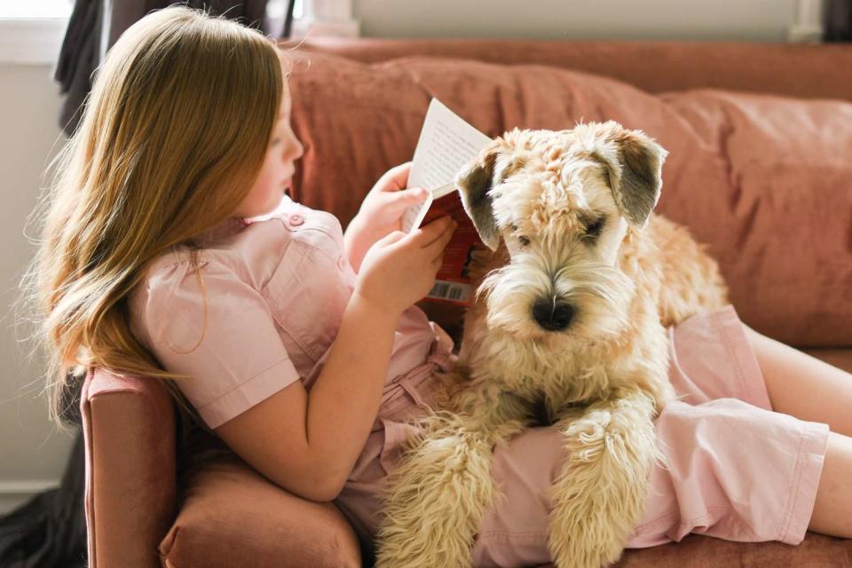 <p>Getty</p> A stock image of a child reading with a dog