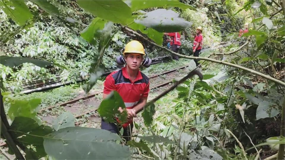 阿里山林鐵全線通車　預防落石兩道防線曝光