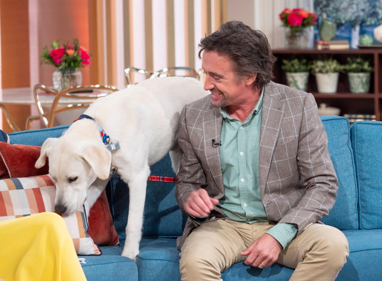 Richard Hammond and This Morning's Buddy. (ITV/Shutterstock)