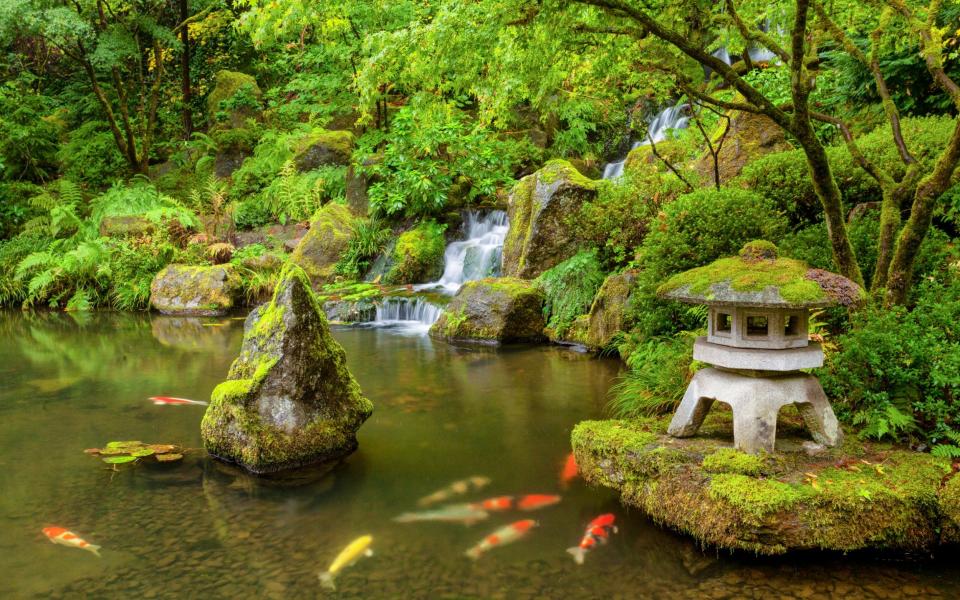 Moss features heavily in Japanese-inspired gardens, making for a more natural look - Getty
