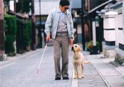 ▲《再見了，可魯》講述導盲犬可魯的一生，感動無數影迷。（圖／翻攝自推特）