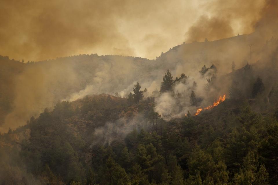 A fire spreads through a forest in the village of Bejis, Spain, on 16 August, 2022. (EPA)