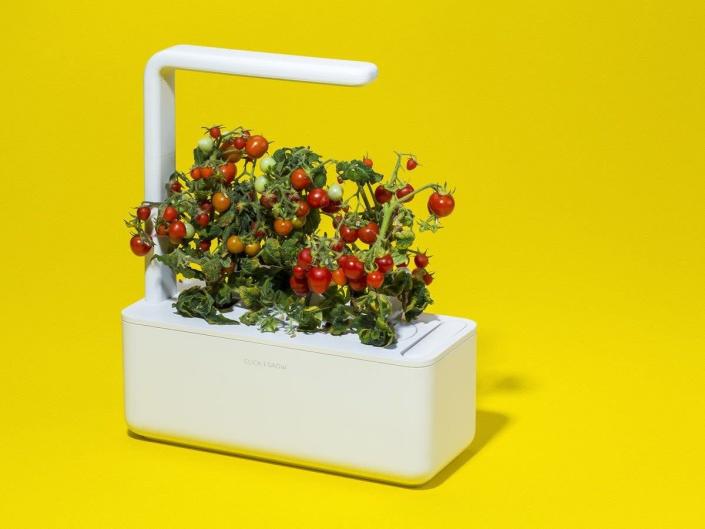 <h2>Click and Grow Smart Garden</h2><br><strong>The Val-pal:</strong> Your wannabe-green thumb boyfriend<br><br><strong>Why They’ll Love It:</strong> Poor dude. He tries so hard to be a plant lady, but it’s just not going to happen. (For, uh, several reasons.) However, this countertop herb garden won’t be deterred by his light-challenged basement cave — it self-waters and has built-in lights to ensure healthy and happy greenery.<br><br><em>Shop <a href="https://www.clickandgrow.com/" rel="nofollow noopener" target="_blank" data-ylk="slk:Click and Grow" class="link rapid-noclick-resp"><strong>Click and Grow</strong></a></em><br><br><br><strong>Click and Grow</strong> Smart Garden, $, available at <a href="https://go.skimresources.com/?id=30283X879131&url=https%3A%2F%2Fwww.clickandgrow.com%2Fproducts%2Fthe-smart-garden-3" rel="nofollow noopener" target="_blank" data-ylk="slk:Click and Grow" class="link rapid-noclick-resp">Click and Grow</a>