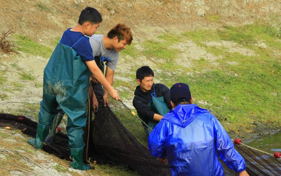 公視全新兒少節目《我家住海邊》探尋台灣即將消失傳統漁法，蔡昌憲(右二) 崩潰大喊：「我數學不好！」（公視提供）