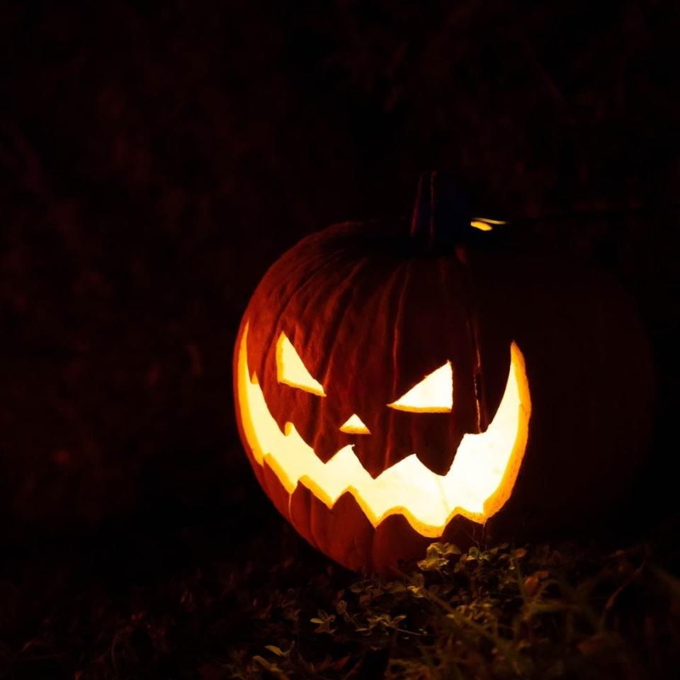 The TSA says it is OK to bring a pumpkin on an airplane.