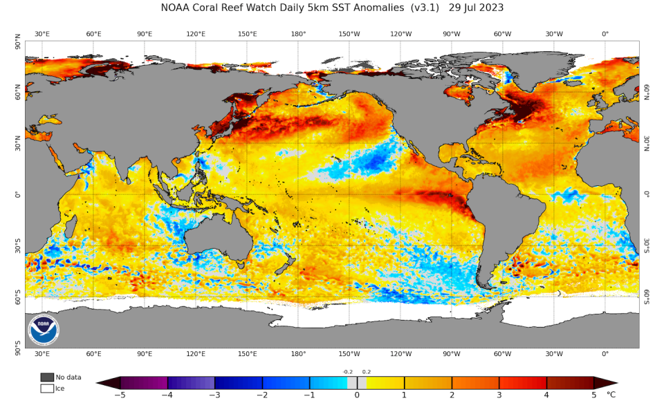 Across most of the world’s oceans, temperatures remain well above normal. National Oceanic and Atmospheric Administration