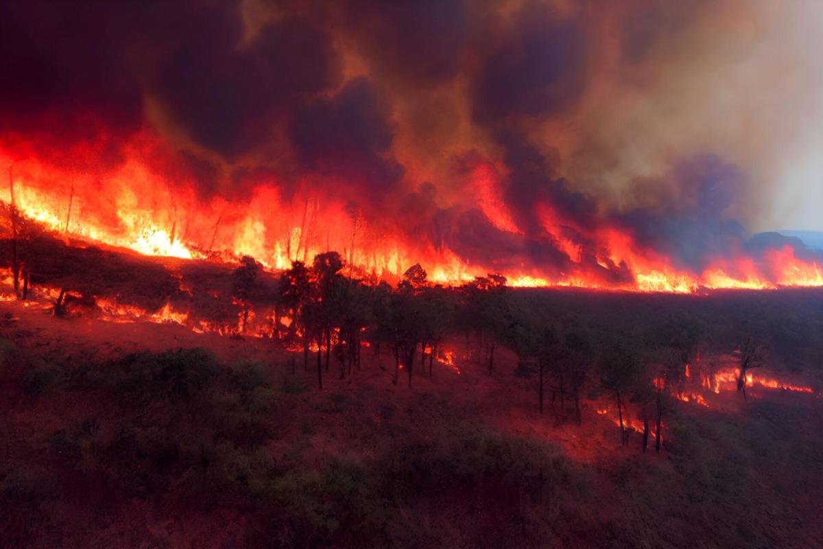 An Indigenous practice may be key to preventing wildfires