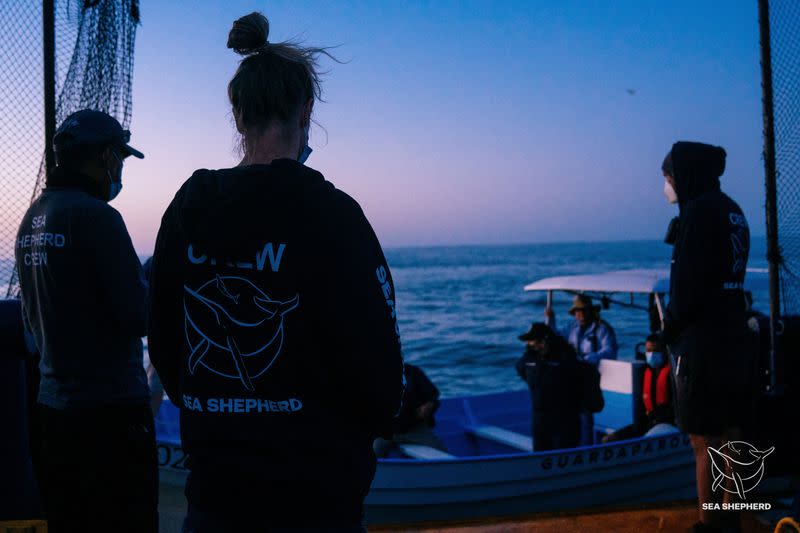 Científicos llegan al amanecer para abordar el buque Seahorse de la organización no gubernamental Sea Shepherd para una investigación sobre la vaquita marina, cerca de San Felipe