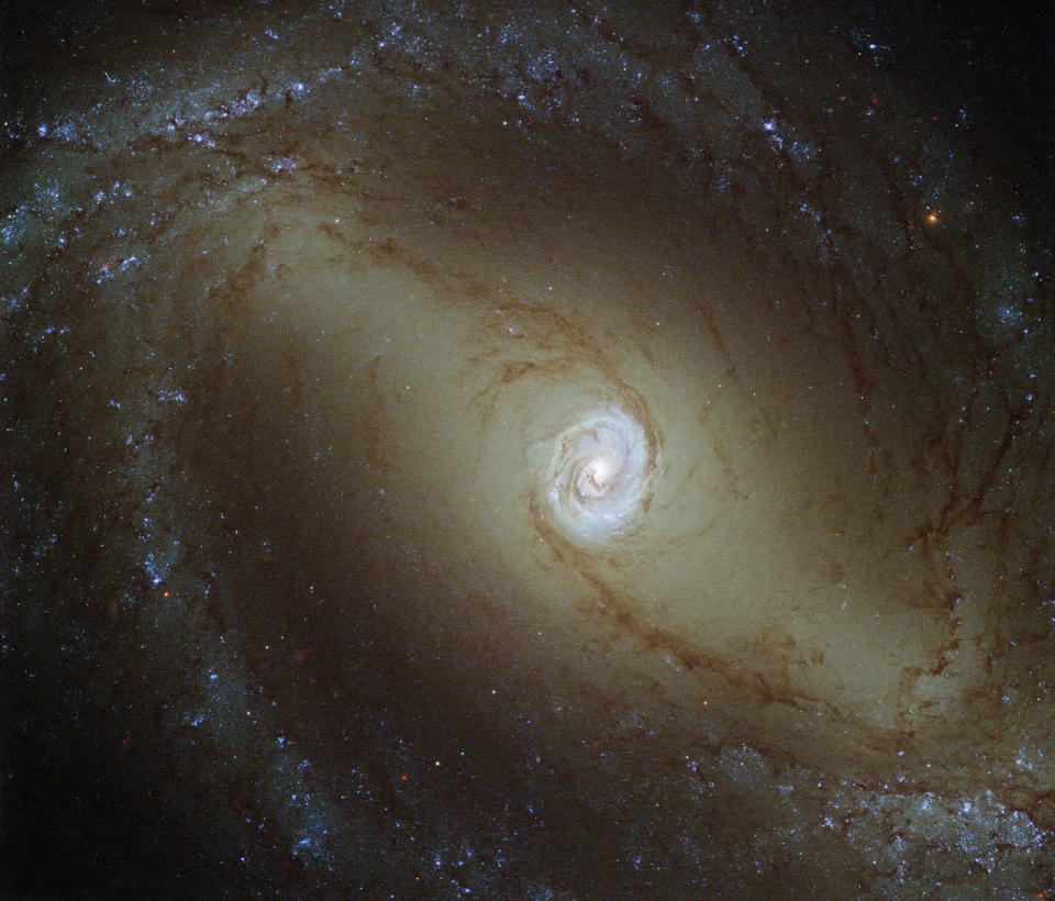 This view, captured by the NASA/ESA Hubble Space Telescope and released in July, shows a nearby <a href="http://www.nasa.gov/content/goddard/hubble-sees-a-galaxy-with-a-glowing-heart/#.VI8e-yfwNBK" target="_blank">spiral galaxy known as NGC 1433</a>. At about 32 million light-years from Earth, it is a type of very active galaxy known as a Seyfert galaxy--with a bright, luminous center comparable in brightness to that of our entire galaxy, the Milky Way.