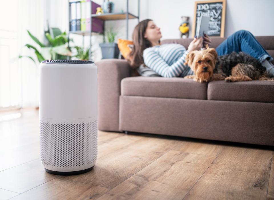 Breathe easier with this powerful air purifier (Source: iStock)