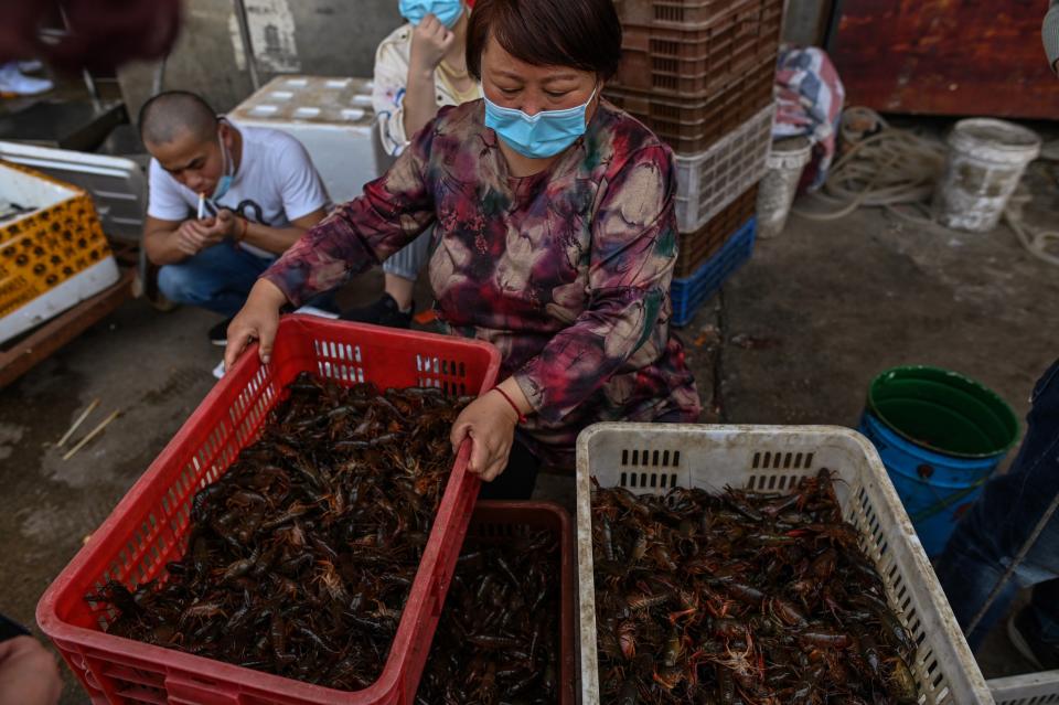 This photo taken on April 15, 2020 shows a woman wearing a face mask as she offers prawns for sale at the Wuhan Baishazhou Market in Wuhan in China's central Hubei province. - China's "wet" markets have gained a bad international reputation as the coronavirus roiling the world is believed to have been born in stalls selling live game in Wuhan late last year. (Photo by Hector RETAMAL / AFP) / TO GO WITH Health-virus-China,SCENE by Jing Xuan Teng (Photo by HECTOR RETAMAL/AFP via Getty Images)