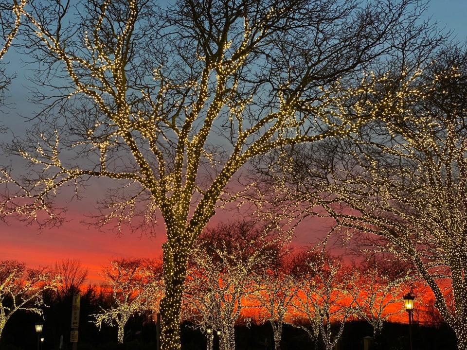 Holiday lights outside Orchard Park, East Brunswick.