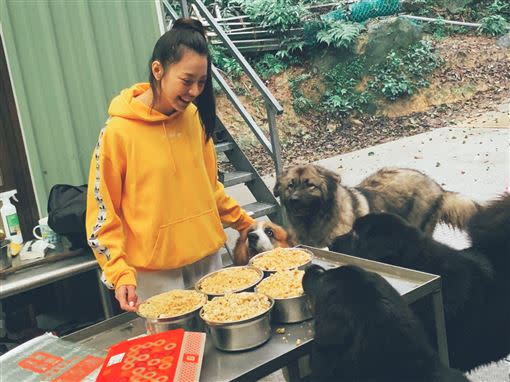 宋城希端出滿桌炒飯、肉丸料理，要餵飽成群獒犬。（圖／艾迪昇傳播提供）