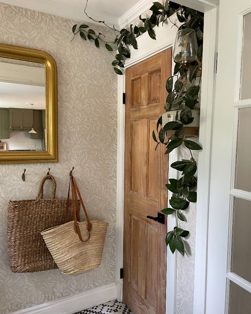 Vining house plant in entryway of newly renovated home.