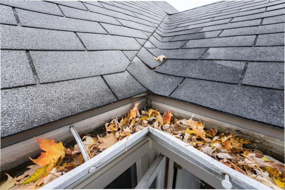 Yellow leaves fill gutters running along a roof.