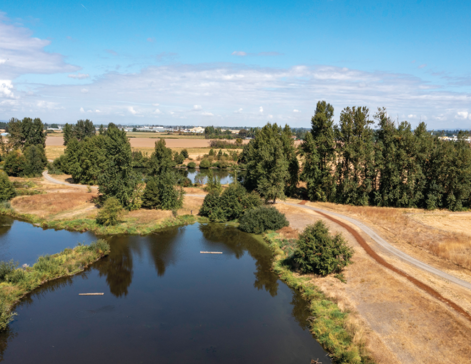 A drone shot shows an overhead view of part of the natural area the city plans to preserve at Golden Gardens Park.