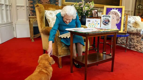 PHOTO: Queen Elizabeth II stroking Candy, her corgi dog, as she looks at a display of memorabilia from her Golden and Platinum Jubilees, in the Oak Room at Windsor Castle, west of London in a photo released on Feb. 4, 2022. (Steve Parsons/Pool/AFP via Getty Images)