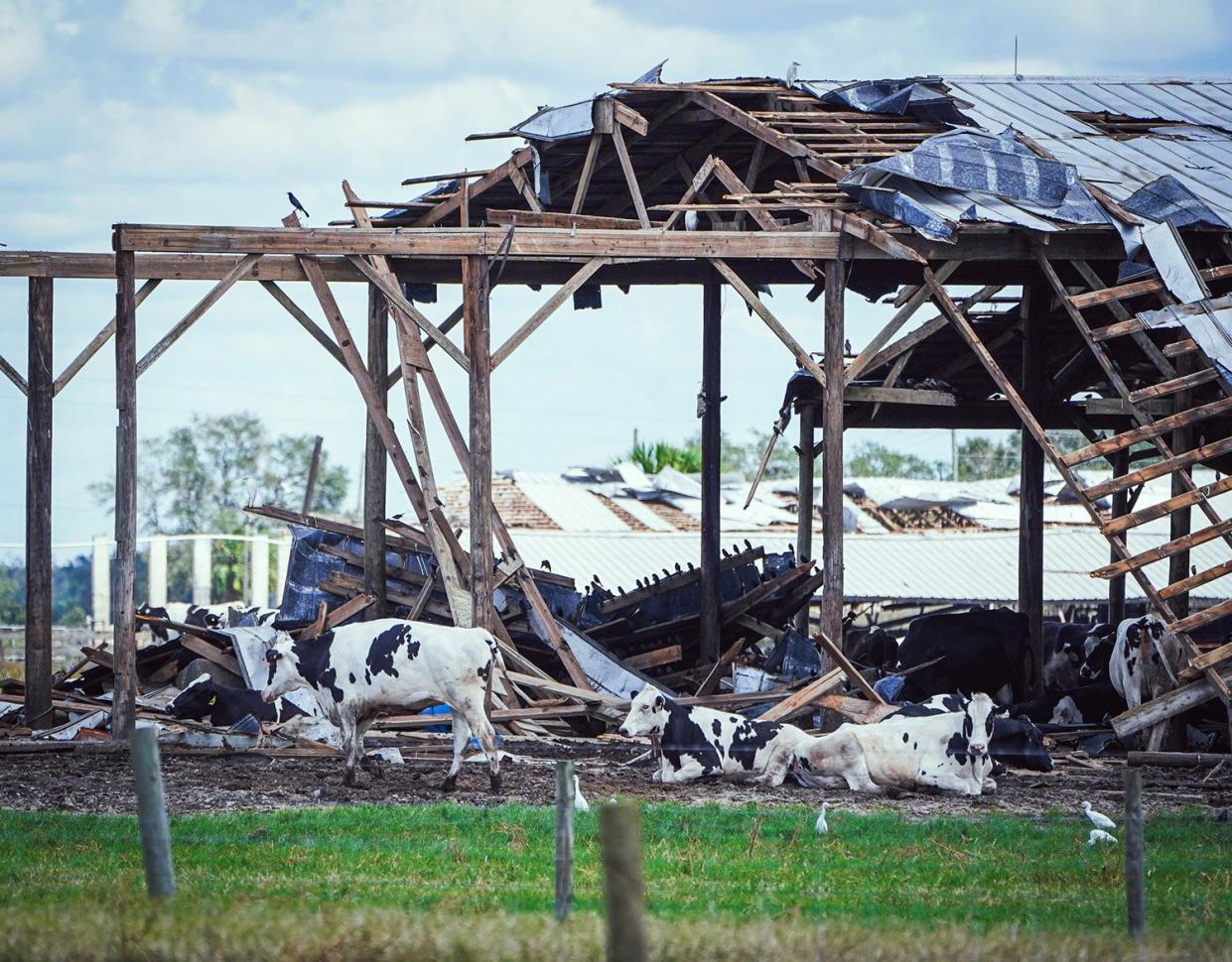 Reporting on Hurricane Ian's Devastation from the Field, I Was Struck by Floridians' Will, Faith and Resolve 