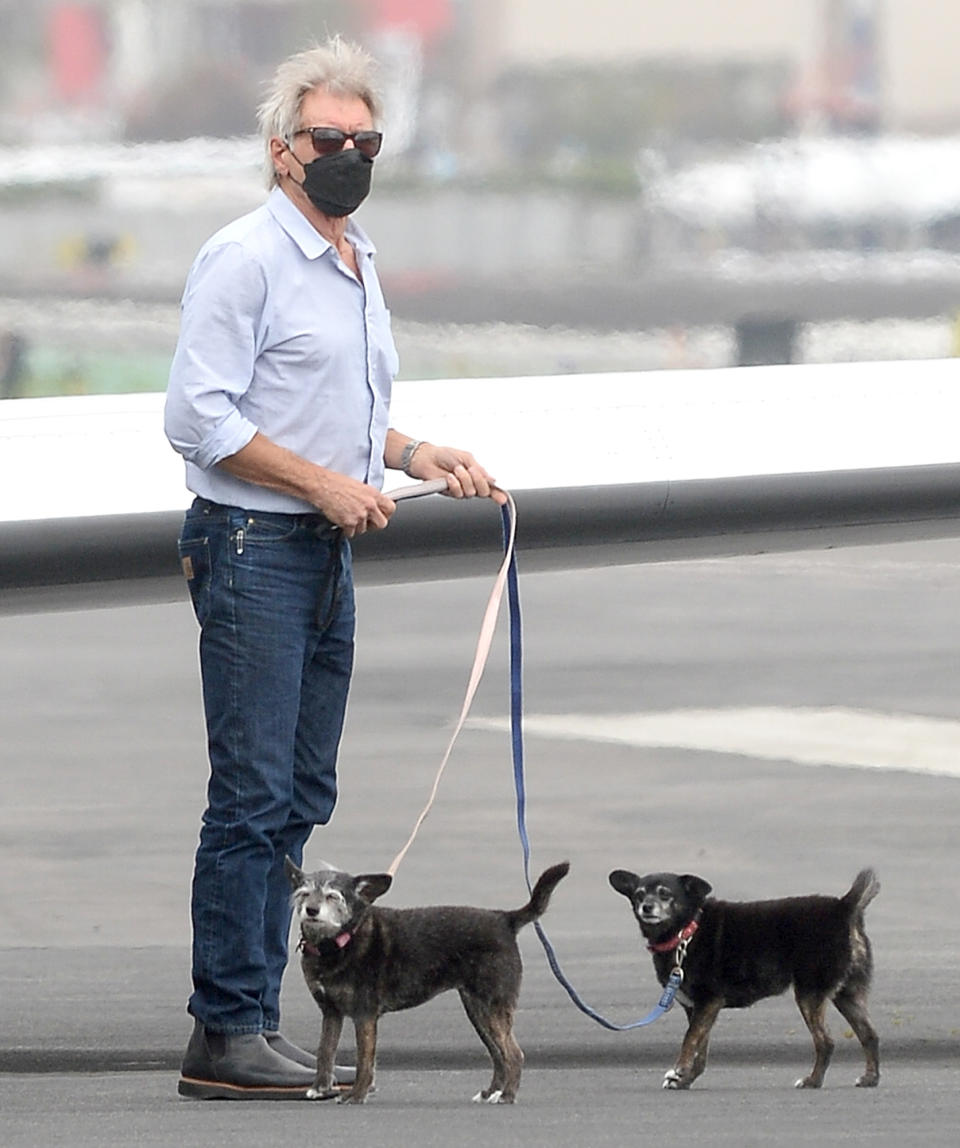 <p>Harrison Ford and Calista Flockhart leave their private jet with their dogs as they head into L.A. on Tuesday.</p>