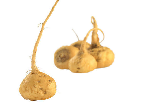 <p><b>1. Maca Roots </b> </p> <p> If you are unfazed by its humble appearance, don’t let its unattractiveness fool you. Sworn by the Peruvians to be the most powerful aphrodisiac ever, Maca roots boost sexual strength and libido. A confirmed super food, Maca roots not only add zing to any given dish, but also improve immunity and functionality. </p>