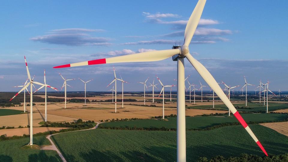 Blick über einen Windenergiepark in Brandenburg.