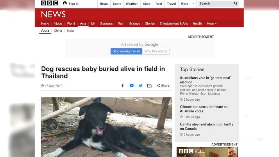 土裡露出嬰兒腿！狗狗發現救娃一命。圖／截自BBC