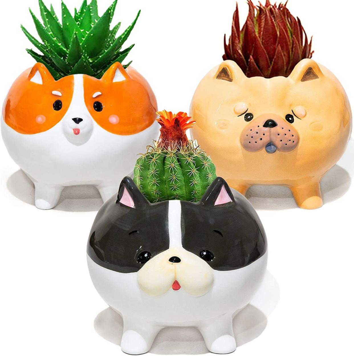 Cute dog succulent and cacti planters