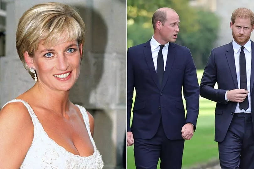 Diana / William and Harry